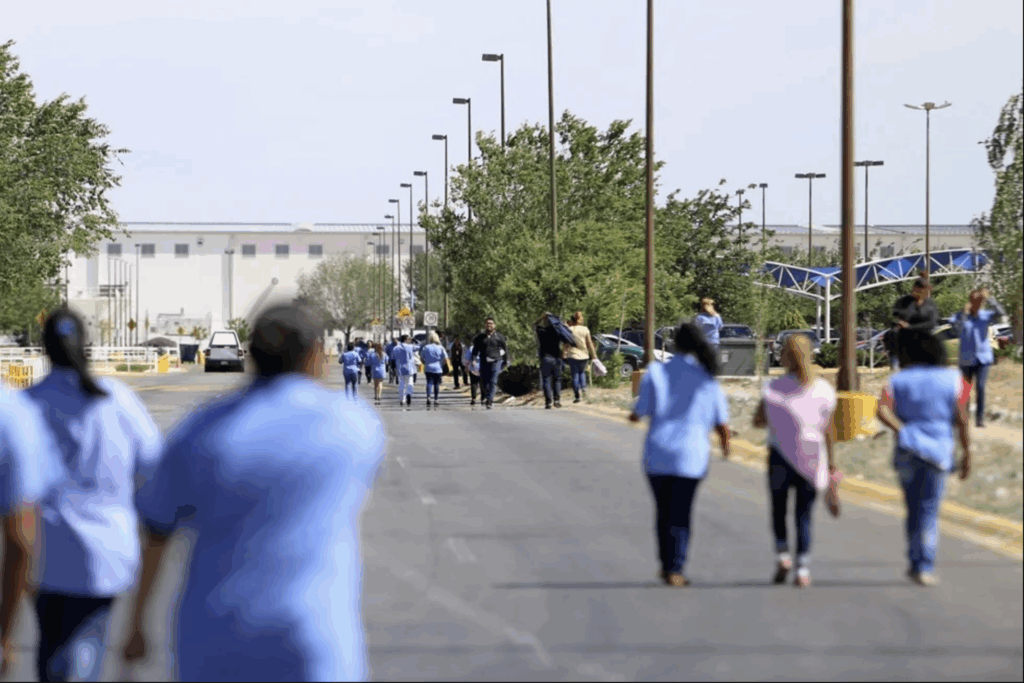 Analiza Estado ofrecer incentivos a empresas