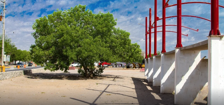 Resaltan acciones de embellecimiento en proyecto del Colector Norzagaray