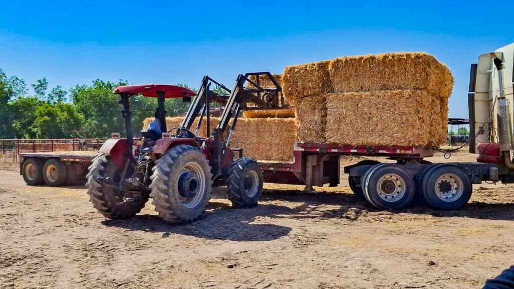Entregan 1,800 pacas de rastrojo en apoyo a 120 productores
