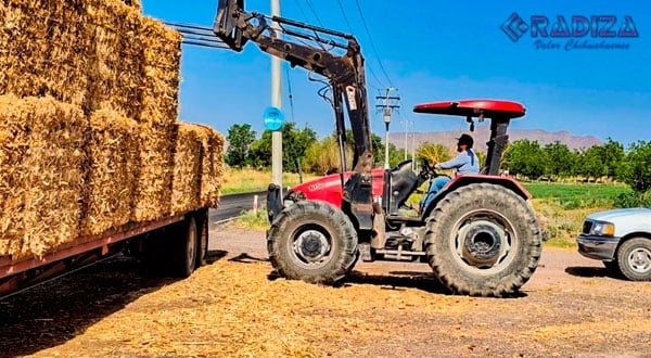 Cierran entrega de pacas en Meoqui