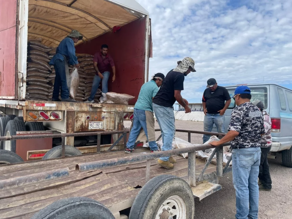 Continúa el apoyo al sector agropecuario con entrega de insumos en Camargo