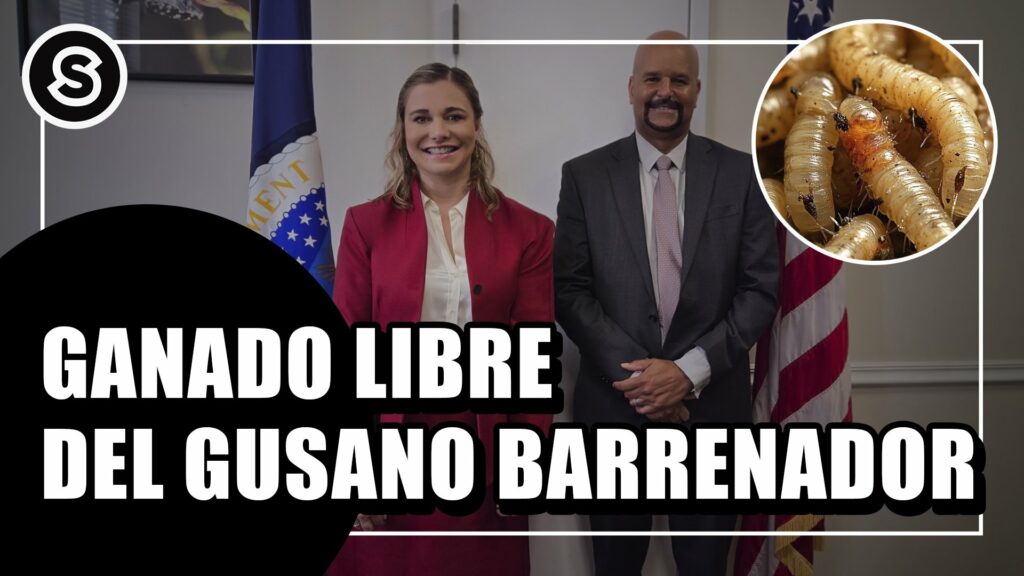Maru Campos en Washington: Chihuahua libre de Gusano Barrenador