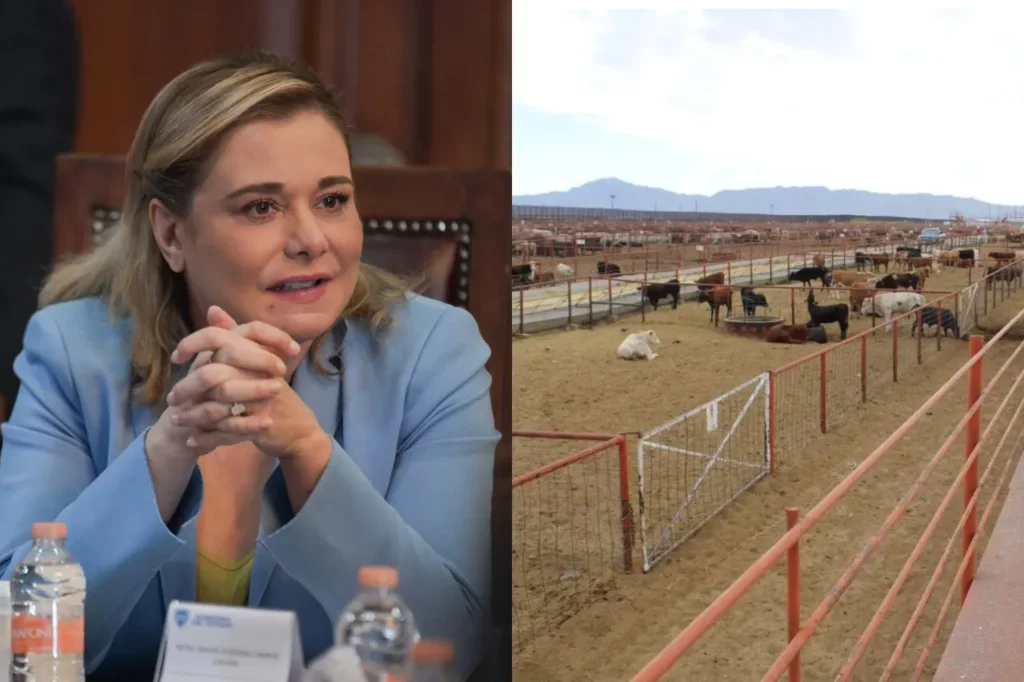 Cuestiona Comisión de Desarrollo Rural inacción federal tras cierre fronterizo de Estados Unidos al ganado