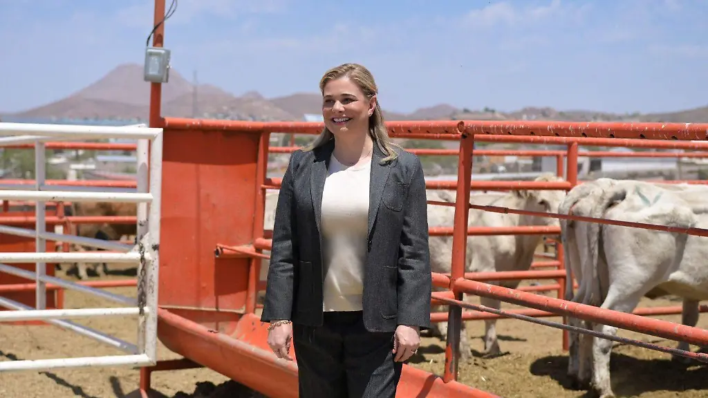 Combatirán al gusano barrenador con mosca estéril