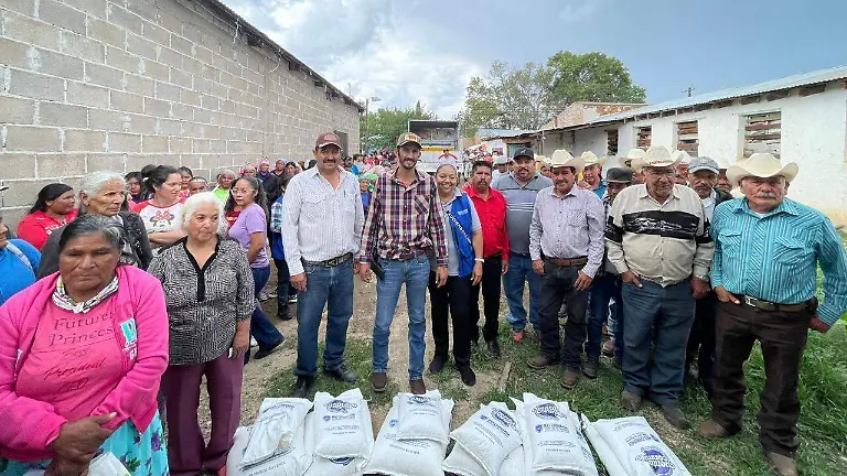 Han entregado más de 800 tonelada de maíz y frijol a familias de Balleza