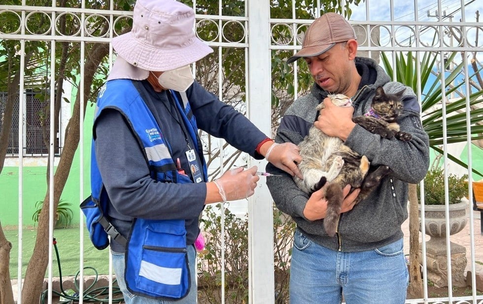 Posponen hasta el próximo año Centro de Atención Animal
