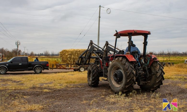 Inicia Miriam Soto entrega de 400 paca de rastrojo: “Seguimos al pie del cañón con ustedes”