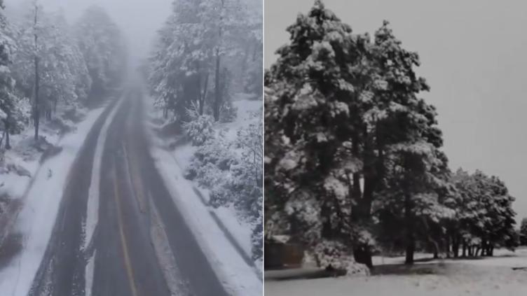 “Paisajes increíbles dejó la nieve”: Comparte Maru videos 🎦