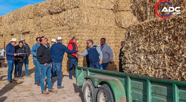 Inician entrega de pacas de rastrojo